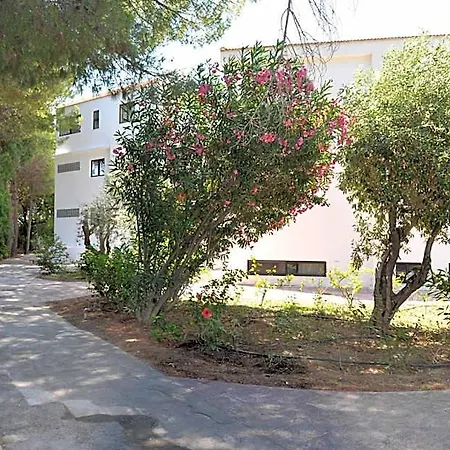 Niki Rhodes City